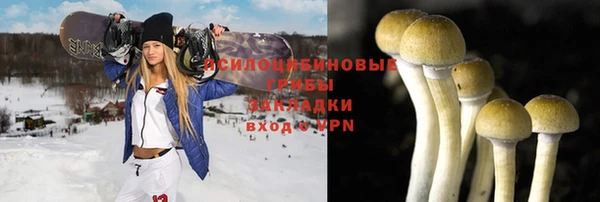 спиды Алексин