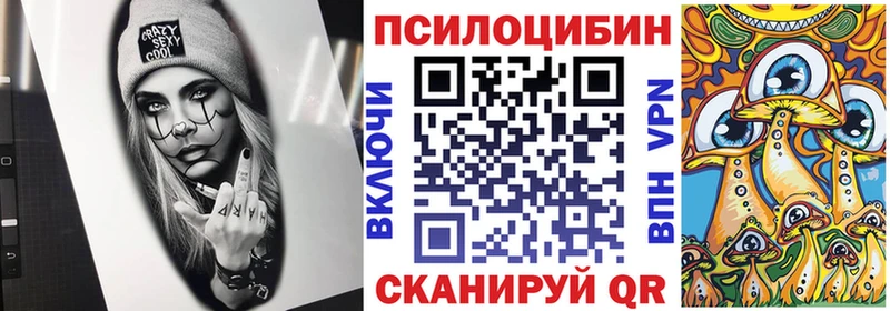 как найти   Владивосток  Псилоцибиновые грибы мухоморы 